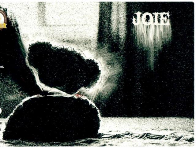 Joie 8.0%, Brasserie Osseus [Closed], France