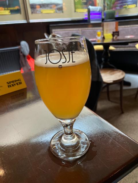 Josje blond 7.0%, Springhaver, Netherlands