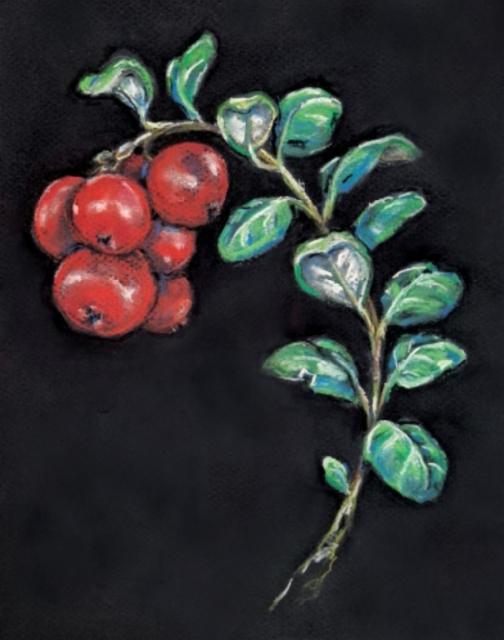 Juŋŋâ 6.2%, Paihalas Brewery, Finland