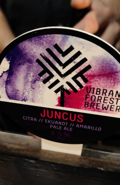 Juncus 4.5%, Vibrant Forest Brewery, England