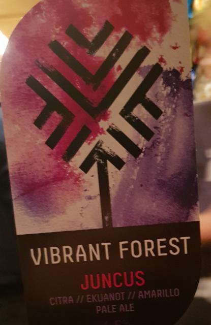 Juncus Vibrant Forr 4.5%, Vibrant Forest Brewery, England