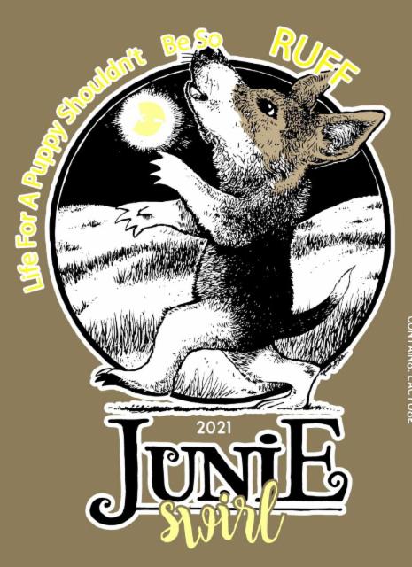 Junie Swirl 2022 13.5%, Transient Artisan Ales, United States