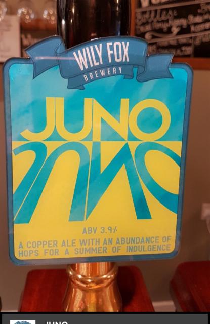 Juno 3.9%, Wily Fox Brewery Limited, England