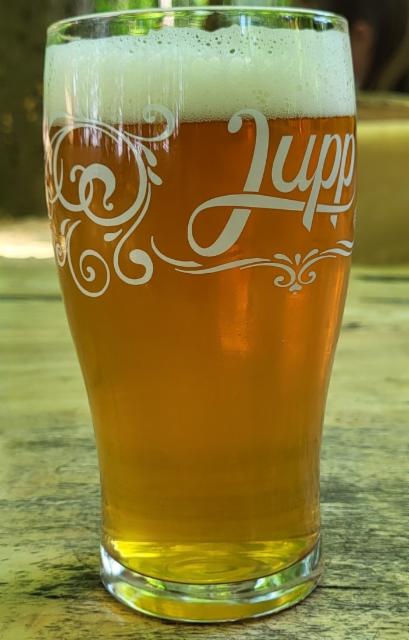 jupp das biergartenbier 5.0%, Böcken-Bräu, Germany