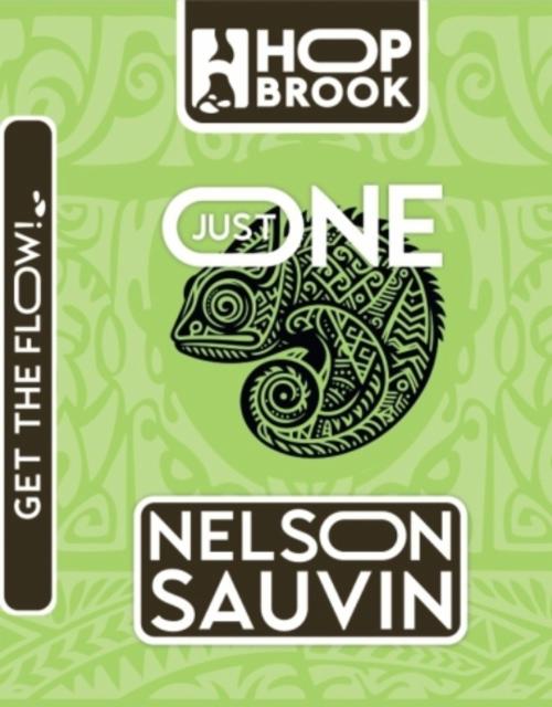 just one: nelson sauvin 5.6%, Bromar Hopbrook, Poland