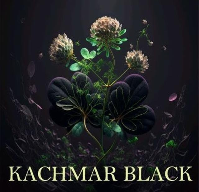 Kachmar Black 5.3%, Brasserie Kachmar, France