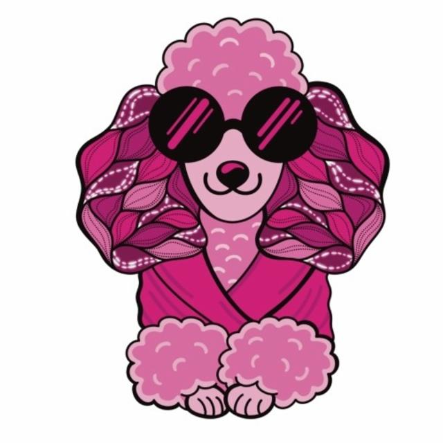 Kanish Royal 5.5%, Les Intenables - Craft Beer, France