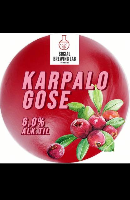 Karpalo Gose 6.0%, Panimoravintola Bruuveri, Finland