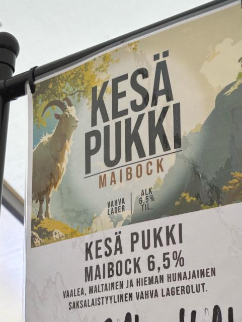 Kesä Pukki, Panimoyhtiö X