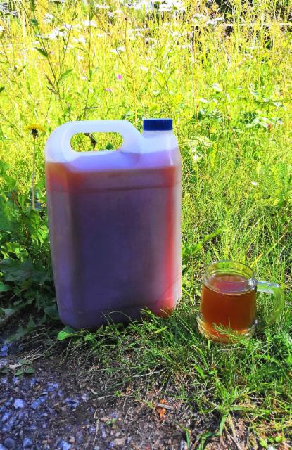 Kesäsahti 2019 Batch 1 8.0%, Matti's Sahti Brewery, Finland