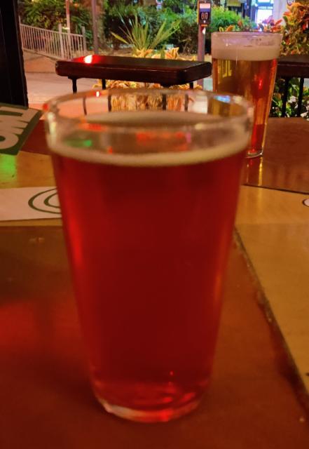 Kirkstall Blackberry Sour 4.0%, Kirkstall Brewery, England