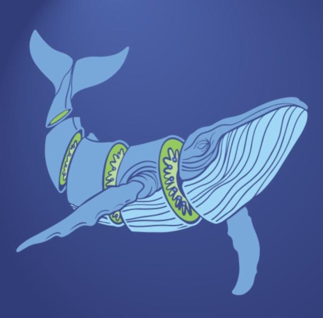 Kiwi Flow 6.5%, Counterpart Brewing, Canada