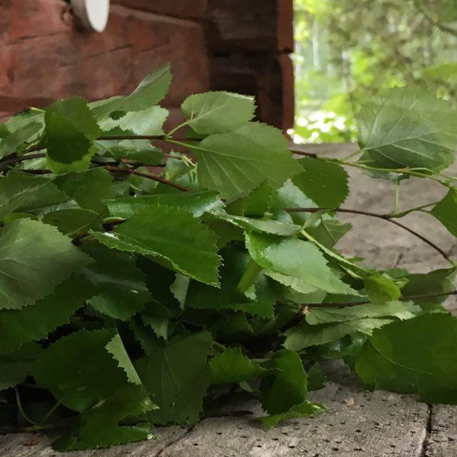 Koivuniemen herra 6.5%, Tampereen Insinööripanimo, Finland