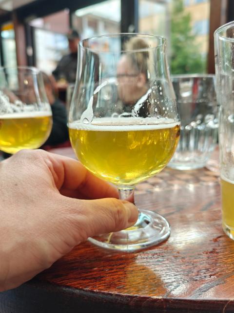 Kölsch of the Dead 5.1%, Messorem, Canada