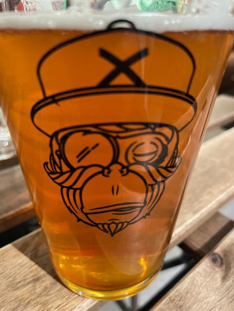 Krush Test 6.2%, Brasserie Du Singe Savant, France