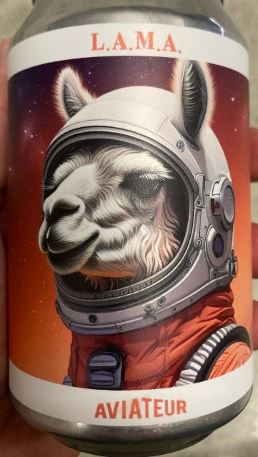 L.A.M.A 0.0%, Aviateur, France