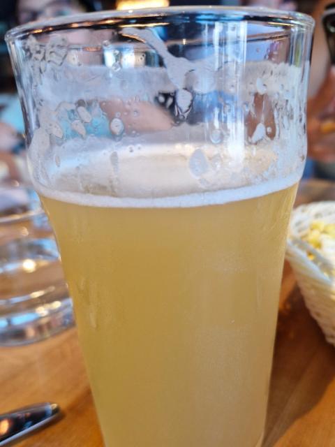 la cage ipa, Brasseurs du Monde / Le Picoleur