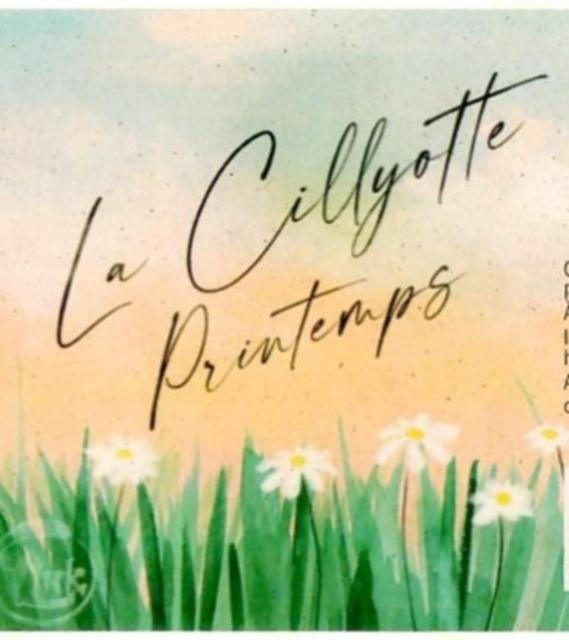 La Cillyotte Printemps 5.0%, Brasserie La Cillyotte, France