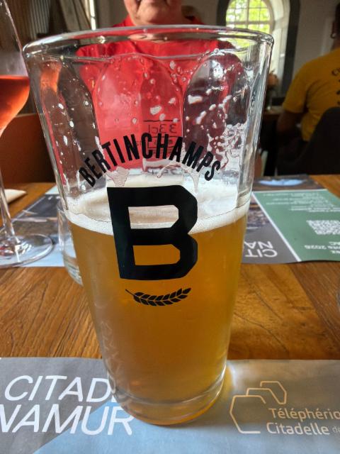 La fief 5.0%, Brasserie de Bertinchamps, Belgium