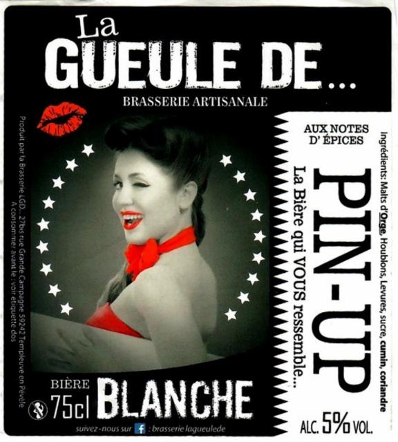 La Gueule De Pin-Up 5.0%, Brasserie La Gueule De..., France