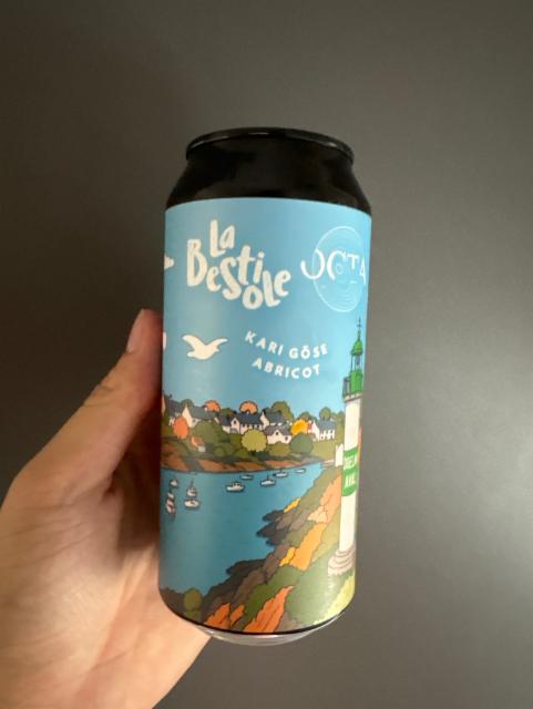 La Kari 4.5%, Brasserie La Bestiole, France