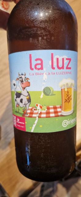 la luz 5.2%, Microsoft brasserie O'malt, France