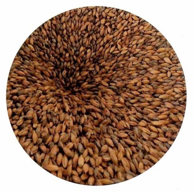 La Pâtissière V10 4.2%, Brasserie Du Vallon, France