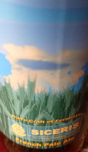 la plaine 5.0%, Brasserie Des Terres Blanches (Punta), France