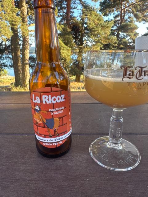 La ricoz 4.5%, Brasserie Des Rieux, France