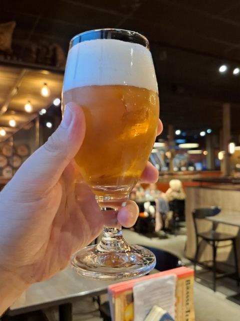 La Sauvage 6.9%, Brasserie Dubuisson, Belgium