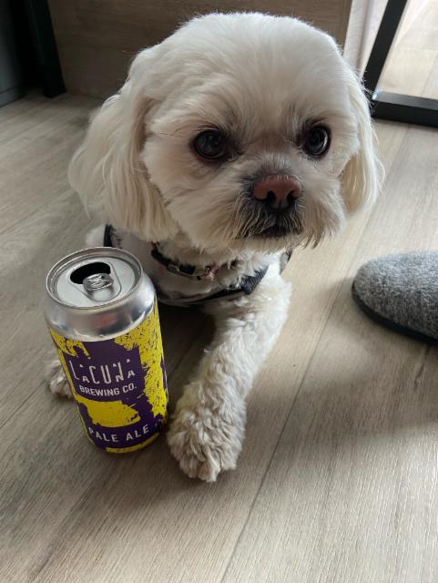 Lacuna Pale Ale, Lacuna