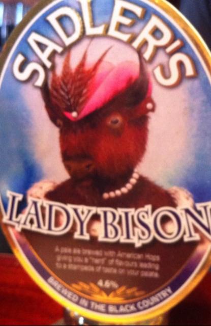 Lady Bison 4.6%, Sadler's Ales, England