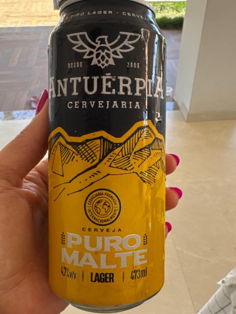 Lager puro malte, Antuérpia