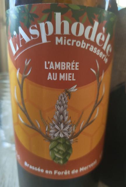L'Ambrée Au Miel, L'Asphodèle