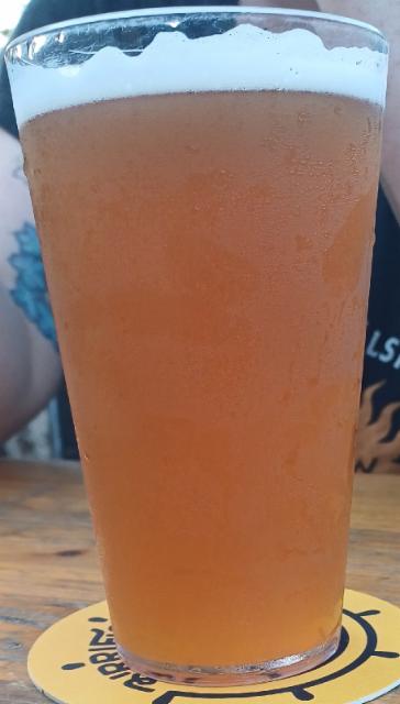 lampuga, Birrificio Del Golfo