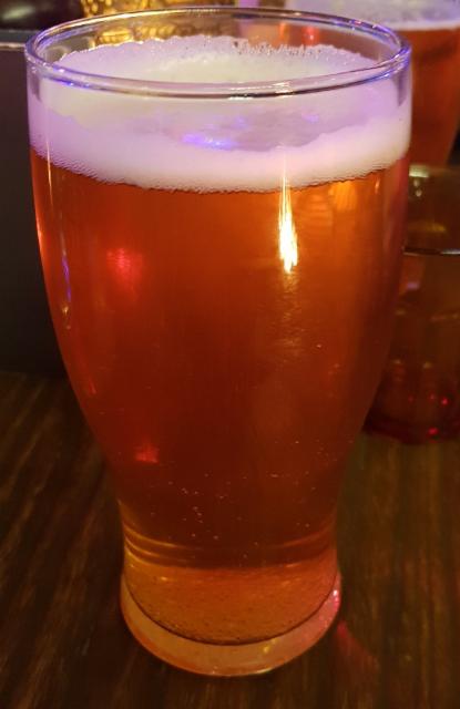 Land of Lakes 4.5%, Croucher Brewing Co, New Zealand