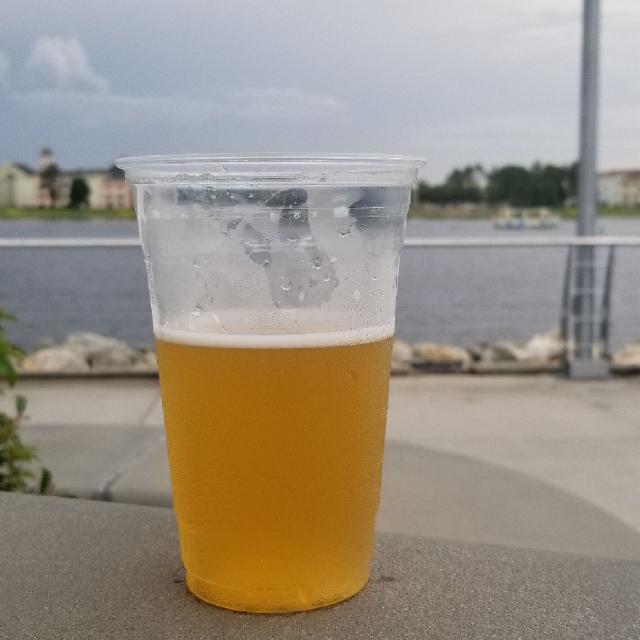Last Days of Summer 4.2%, Tampa Bay Brewing Company, United States
