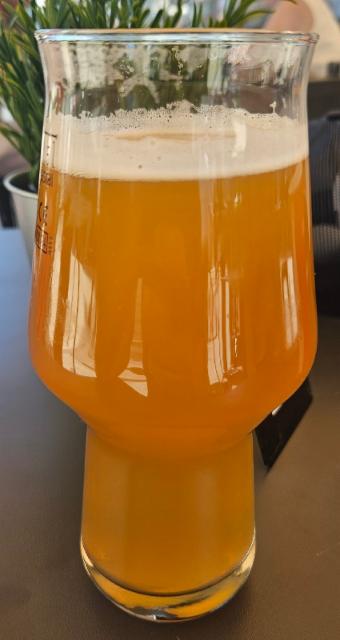L&B House IPA 6.2%, L'angoisse & beer, France