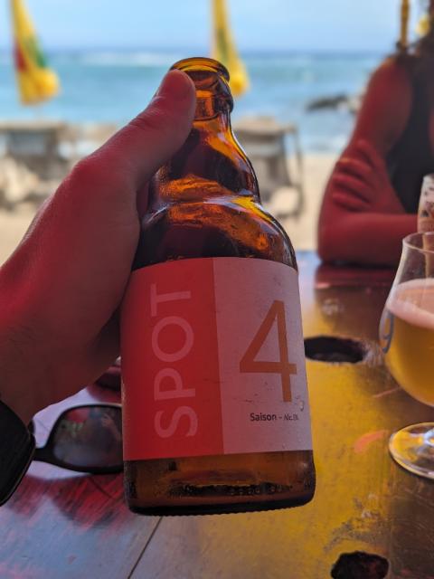 Le SPOT 5.0%, Le Spot, Réunion