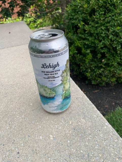 Lehigh 7.0%, McCall Collective Brewing Co, United States