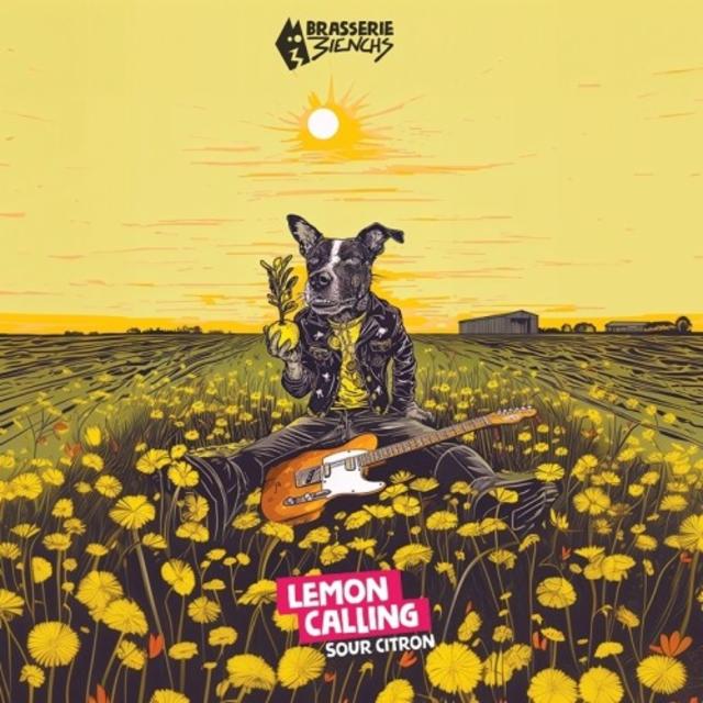 Lemon Calling 5.5%, Brasserie 3ienchs, France