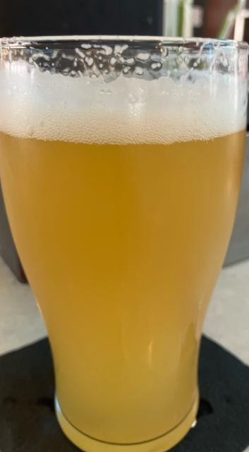 Lemon Glow, Land Grant Brewing Company