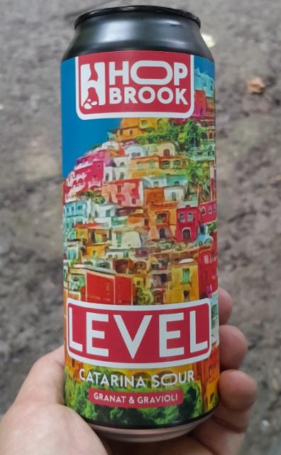 Level Catarina Sour, Hop Brook