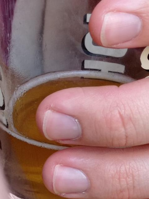 life after death, Brasserie Sainte Cru