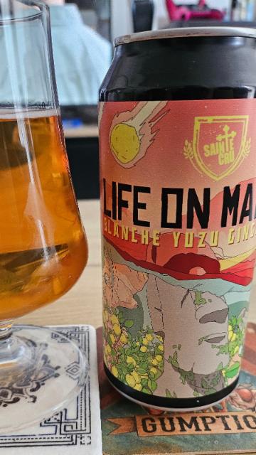 Life on Mars Blanche yuzu gingembre 5.5%, Brasserie Sainte Cru, France