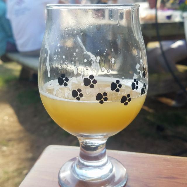 LII (52) 8.5%, Fat Orange Cat Brew Co., United States