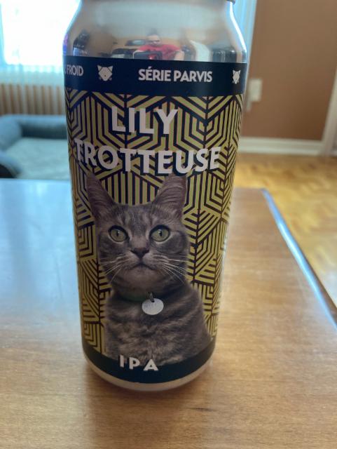 Lily trotteuse 7.5%, Noctem Artisans Brasseurs, Canada