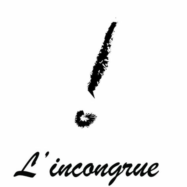 L'Incongrue 4.5%, Brasserie Pikadili, France