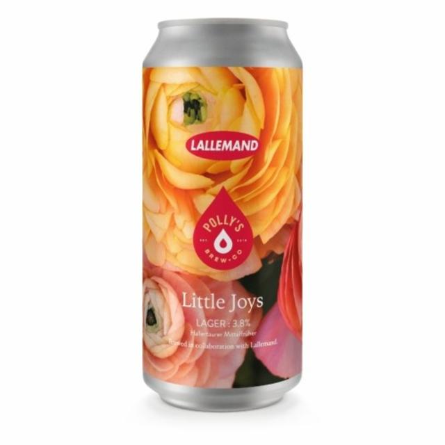 Little Joys 3.8%, Polly's Brew Co., Wales