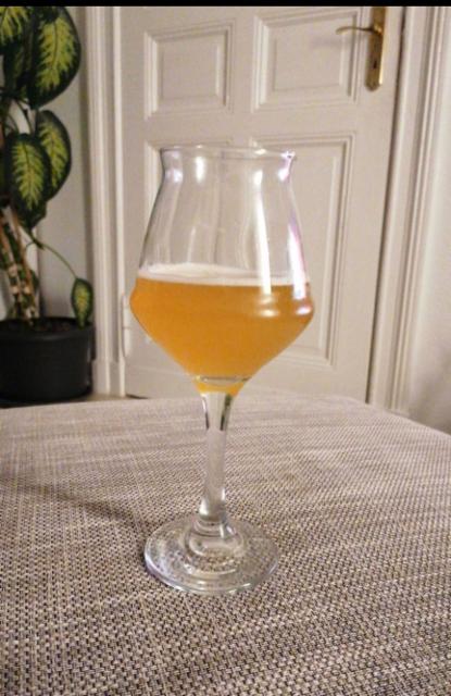 Living Coral / Cranberry Quince Gose 5.0%, BRLO, Germany